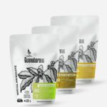 Kit Lançamentos 2025 Guanabara Café